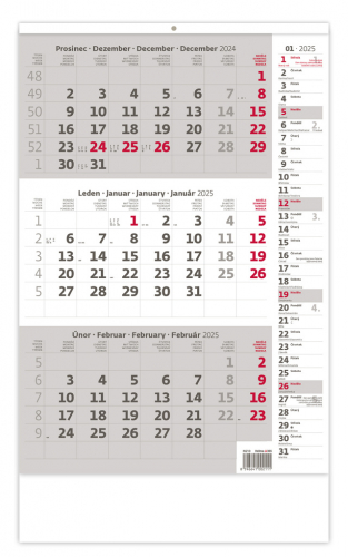 Kalendář nástěnný pracovní - tříměsíční šedý s poznámkami / N210