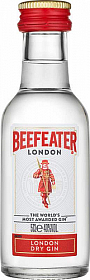 MINI Gin Beefeater PET  40%0.05l